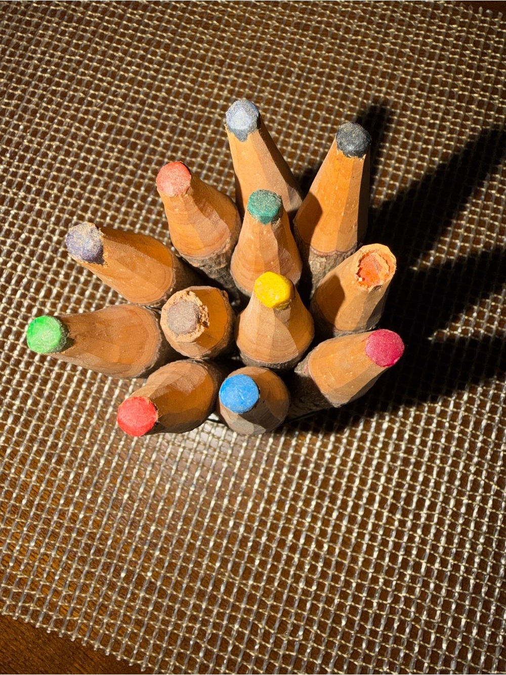 Rustic Log Colored Pencil Set - Multicolor - Picture 2 of 5